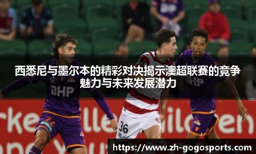 GoGo体育官方网站